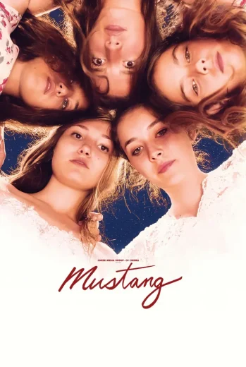 فيلم الحصان البري 2015